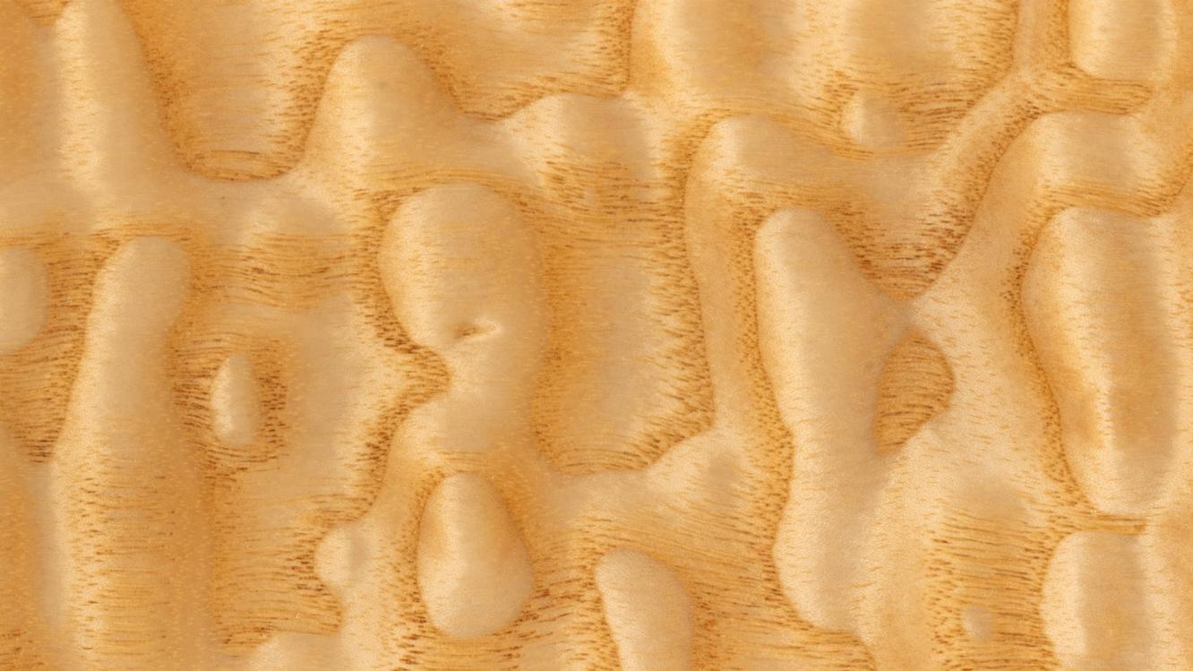 105113 texture.jpg