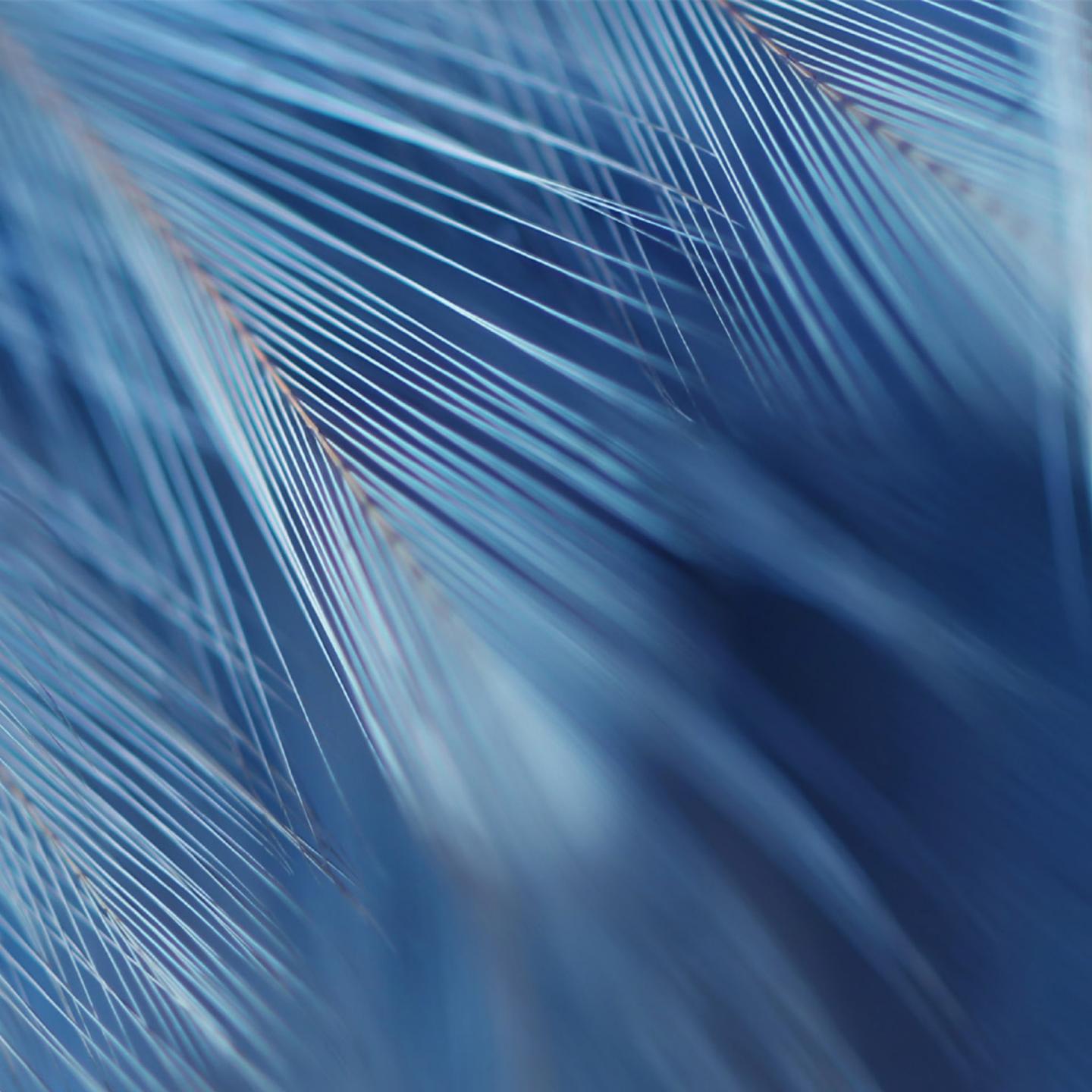 Footer Background top block.jpg