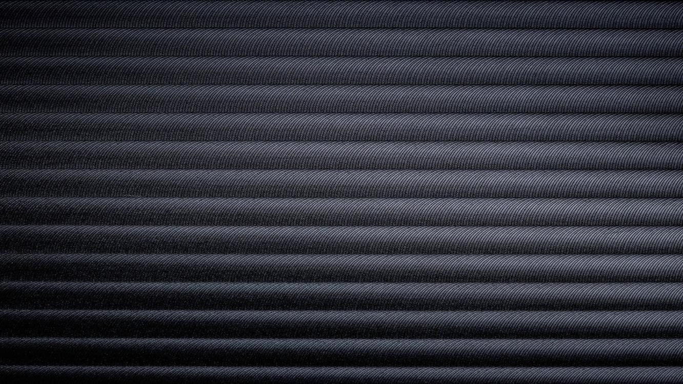 Zoomed in view of linear green leaves with dentate edges.